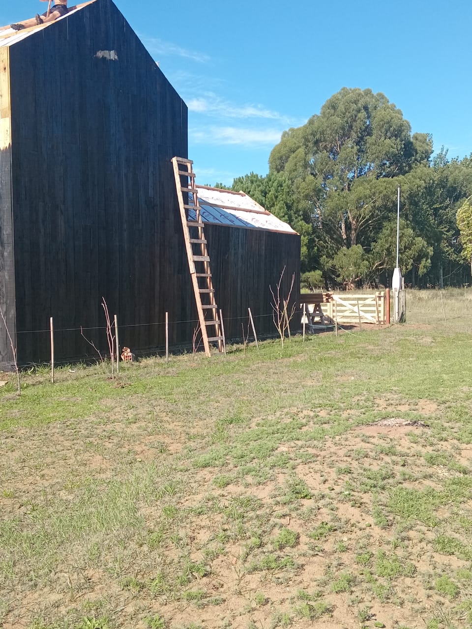 Local taller